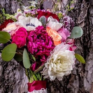 Meet your Posher, Beth